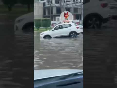 26 августа 2024 г.