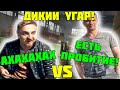 ДИКИЙ УГАР! КАПИТАН ПАНИКА VS ПИРАНИЙ! ПАНИКА ТРОЛЛИТ ПИРАНИЯ? ПИРАНИЙ БОМБИТ!