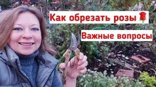 Как обрезать розы на зиму. Подготовка роз к зиме. Когда укрывать розы. Все вопросы про розы осенью!