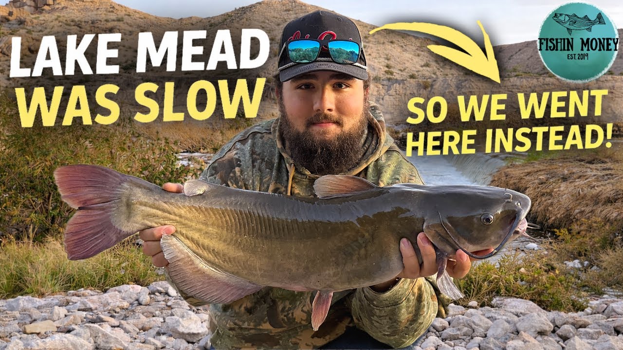 Даже когда уровень воды в озере Мид снижается, это место всё равно даёт хороший улов!