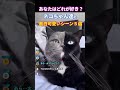 どれが一番好き？ネコちゃん達の面白可愛いシーン５選 #動物 #2ch動物スレ #shorts