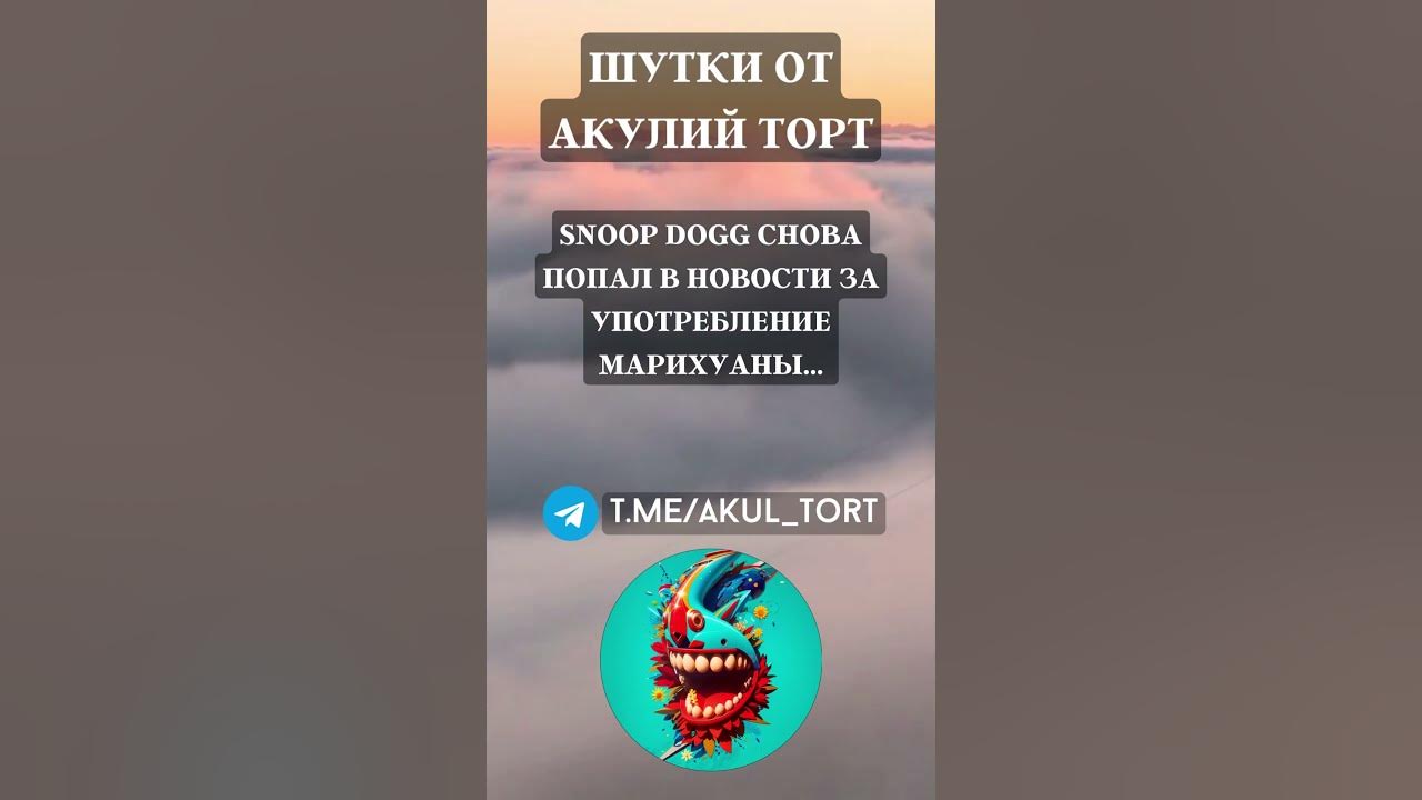 Ютуб Шорты: Смех в Каждом Эпизоде #АкулийТОРТ #shorts - YouTube