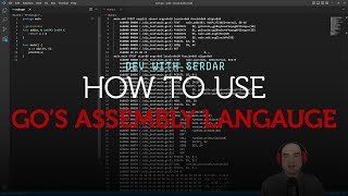 Famous How to use Go's internal assembly language Wealth