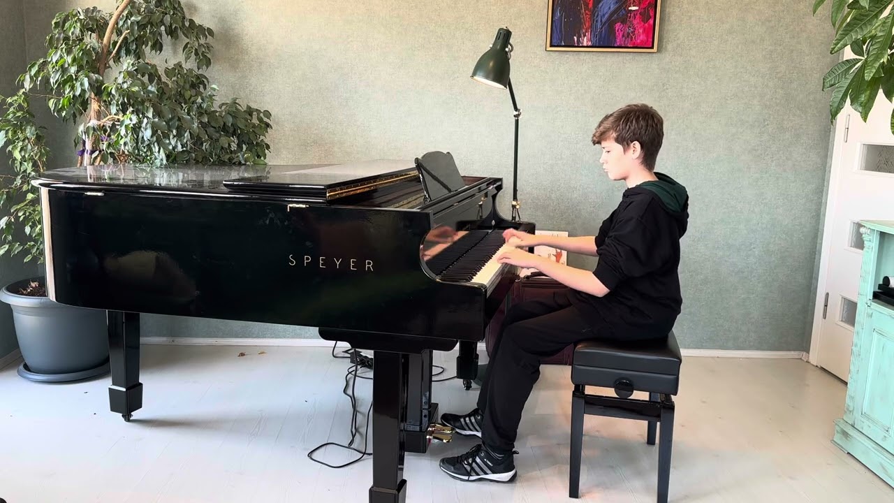 Bora Aluz - Sevenlere Dair - Fazıl Say