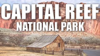 Episode 20: Capital Reef National Park
