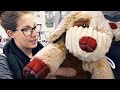 Preparing For a New Puppy! Preparing For a New Puppy!