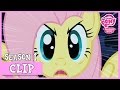 Fluttershy's Stare (Stare Master) | MLP: FiM [HD]