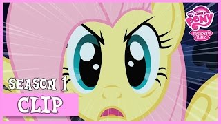Fluttershys Stare Stare Master Mlp Fim Hd