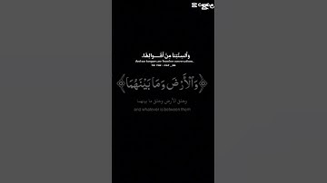 احترم نفسك القران الكريم