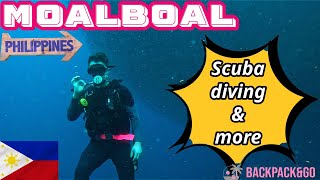 CRAZY CHEAP 40$ DIVING ! PHILIPPINES  S01E04