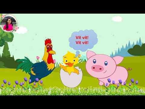 Video TRUYỆN QUẢ TRỨNG - Nhà trẻ 24-36 tháng - youtube