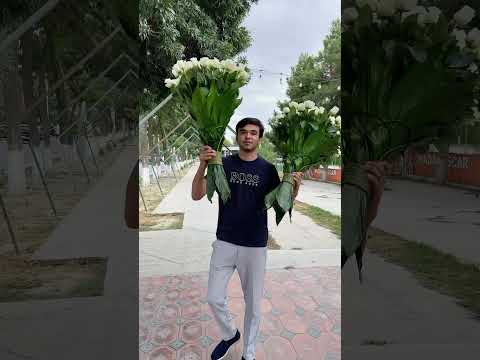 7 сентября 2024