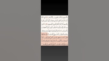 ايات من سورة آل عمران 18 الى 20 تلاوة بصوت ماهر المعيقلي #قرآن #اكسبلور #المصحف