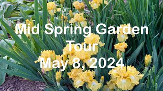 Mid Spring Garden Tour-Iris, Allium, Lupine and more!