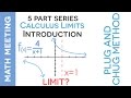 Understanding Calculus Limits