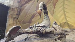 Giant Scorpion at Natural History Museum