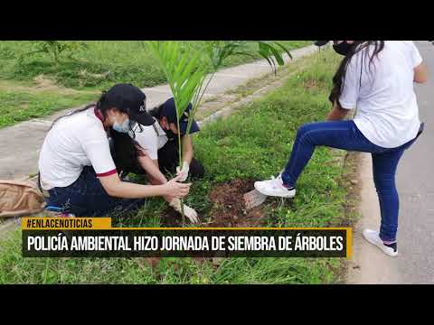 Policía Ambiental realizó jornada de siembra de árboles
