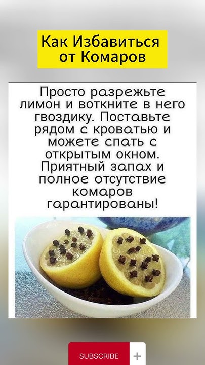 Как Избавиться От Комаров #лимон #гвоздика #комары #shorts - YouTube