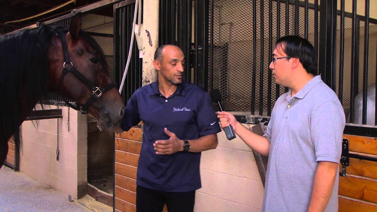 Medieval Times Behind-the-Scenes