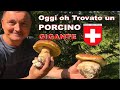 Oh trovato Porcino gigante in svizzera