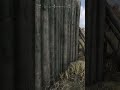 I used a devious crack to kill 3 guys 😨#huntshowdown #gaming #crack