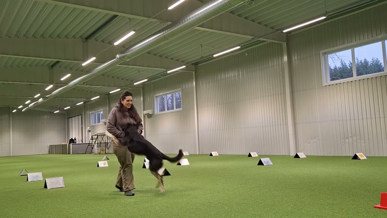 Rallyträning avancerad klass 12/11 2025