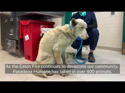 Fundraiser by John Wolfe : JohnWolfe Fund-A-Thon Supporting Pasadena