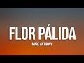 Marc Anthony - Flor Pálida (Letra/Lyrics)