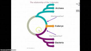 Chapter 26, Lecture #1.mp4