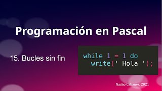 Pascal 15 - Bucles (5): Bucles sin fin
