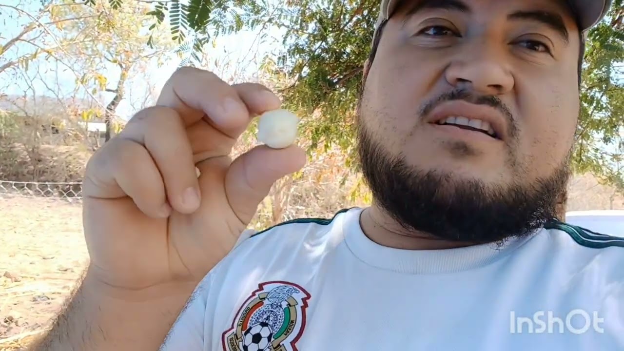 les kedo mal  mis amores estan muy bien  felis por k le a van saremos a la casa 