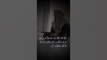 تلاوة خاشعة بأسلوب الشيخ محمد أيوب - بصوت القارئ هيثم الدخين