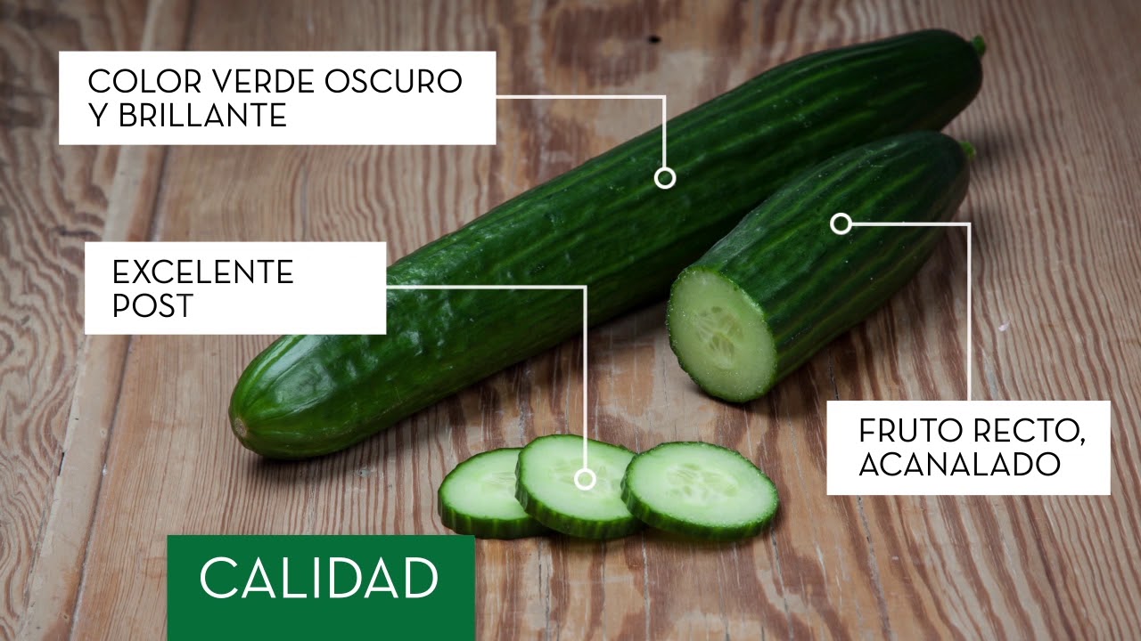 SmartQ: Calidad de fruto en una planta más resistente