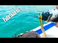 Dah Lama Tak Jumpa Ikan Ni ,INFLATABLE BOAT VLOG (Vlog 160)