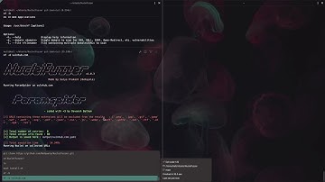 Automate Detecting XSS, SQLi, SSRF, Open-Redirect using Nuclei Fuzzer Tool