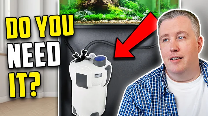 Does Your Aquarium Need A Canister Filter?