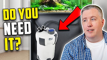 Does Your Aquarium Need A Canister Filter?