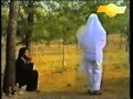 Marwan Hama Xurshid Pashimany 