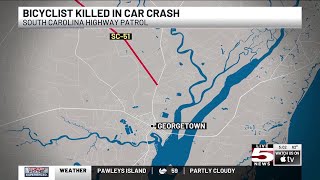 VIDEO: Bicyclist killed in Georgetown Co. crash with car