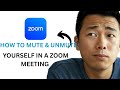 How to Mute & Unmute Yourself in a Zoom Meeting (2026 Update)