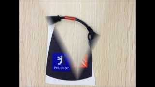 Lexia-3 PP2000 Citroen V48 Peugeot V25+ Lexia-3 PP2000 Citroen V48 Peugeot V25+
