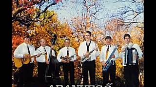 Tóthfalusi Aranyeső Zenekar - Az Uramnak Oly, Valamit Súgok, Látott E Már Orvos, Jaj Anyám Jaj Apám