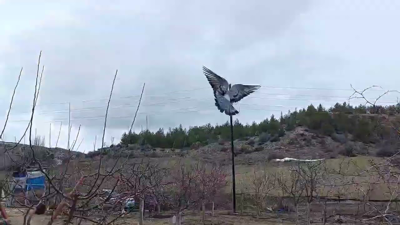 Gök Çilli @&Efsane olacak 