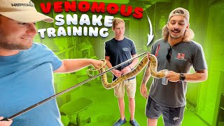 Venomous Snake Training with the Boys!