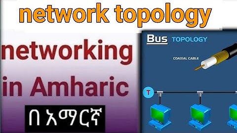 network topology  networking in Amharic