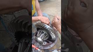 How to adjust play and noise in isuzu elf differential carrier