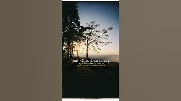 تلاوة خاشعة للشيخ ياسر الدوسري #قرآن #قران_كريم #المصحف #راحة_نفسية #quran