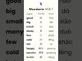 Learn Mandarin Words Fast | HSK 1 Chinese for Beginners (3)