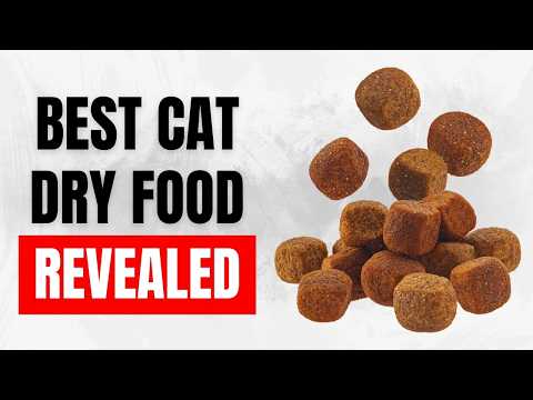 Best Dry Foods for a Stronger Cat (High-Protein &amp; Grain-Free!)