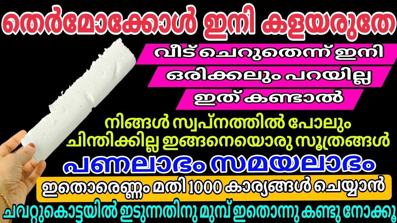 എത്ര ചെറിയ വീടാണെങ്കിലും | തെർമോക്കോൾ ഉണ്ടോ? ഇനി അത് മറന്നേക്കു | Reuse Idea Of Thermocol | #tips